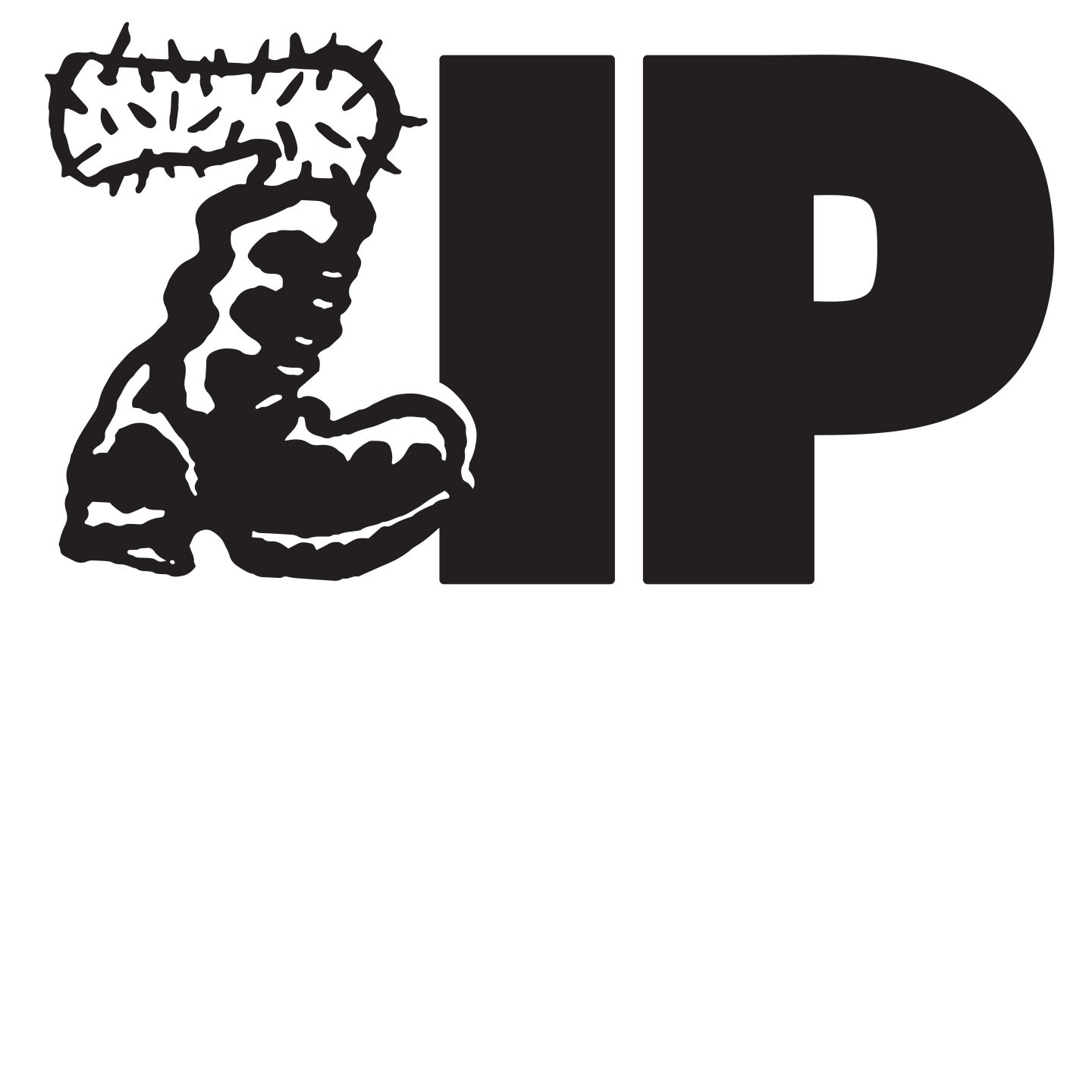 WZZP Zip 106 Cleveland - Record Intro - Radio