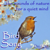 Bird Song (The Sounds of Nature for a Quiet Mind) - David Sun