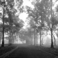 A Fool I Was - Single - BOONE