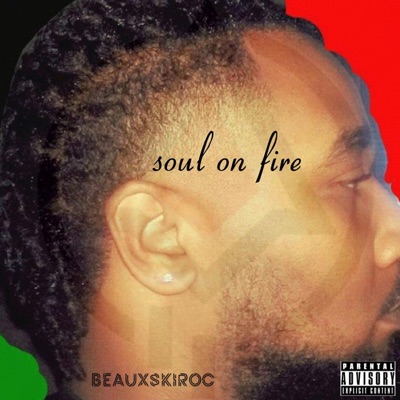 Soul On Fire - Single