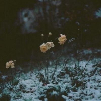 Ashes (feat. Boy Droid) - Single