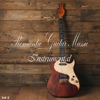 Romantic Guitar Music Instrumental, Vol. 2