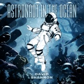 Astronaut In the Ocean artwork