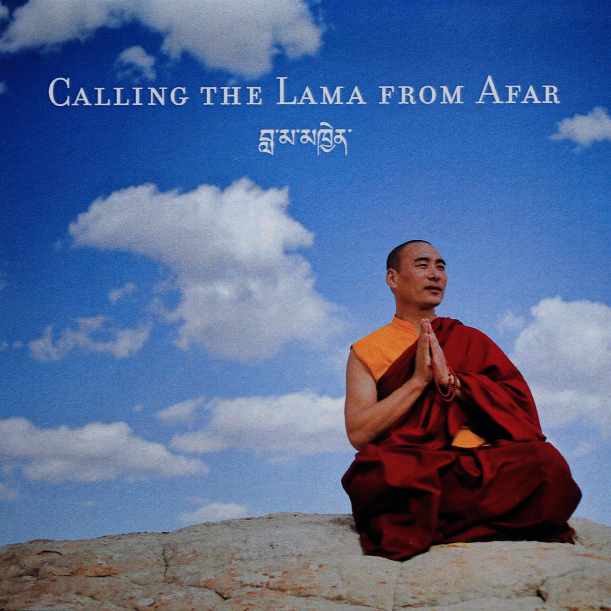Calling the Lama from Afar - Album by Khentrul Lodrö Thayé Rinpoche - Apple  Music