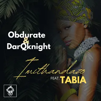 Imithandazo (feat. Tabia) - Single by Obdurate & DarQknight album reviews, ratings, credits