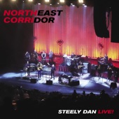 Steely Dan - Any Major Dude Will Tell You - Live From Mohegan Sun Arena