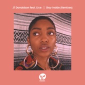 JT Donaldson - Stay Inside (feat. Liv.e) [Sandy Rivera Remix]