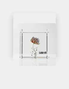 Hör dir Shinji Hashimoto an, schau dir Musikvideos an, lies die Biografie, finde Tourdaten und mehr!