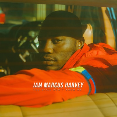 Marcus Harvey