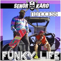 Funky Life - Single - Senor Karo & Ninocess