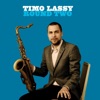 The More I Look at You (feat. José James) cover art