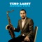 The More I Look at You (feat. José James) - Timo Lassy lyrics