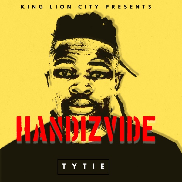 Handizvide