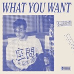 Danny Dwyer - What You Want