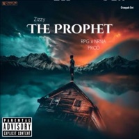 Certified Stepper - Single - Zizzy