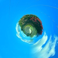 Switch Parts - Single - Jitter