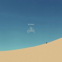 Dry Bones - Single - Joe Garza