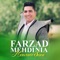 Siyawchamana Ba Zharazh Wano - Farzad Mehdi Nia lyrics
