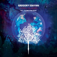 Coral Glasses (Incl. Flexible Fire Remix) - Single - Gregory Esayan