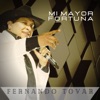 Mi Mayor Fortuna - Single