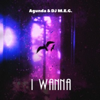 I Wanna - Single - Agunda & DJ M.E.G.