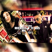 Mientes y te vas (feat. Estilo Libre) - Single - Original Mob