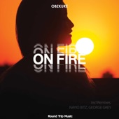 On Fire (Nayio Bitz Remix) artwork
