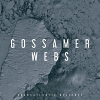 Gossamer Webs (feat. Deer Park Ranger & rhubiqs) - EP - Transatlantic Alliance