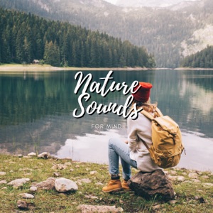 Nature Sounds for Mind - EP