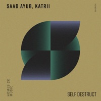 Self Destruct - Single - Saad Ayub & Katrii