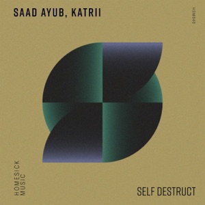 Self Destruct - Single