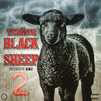 Black Sheep 2