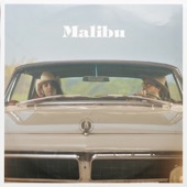 Malibu (feat. Bob Spring) artwork