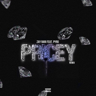 Pricey (feat. Pyro) [Remix] [Remix] - Single