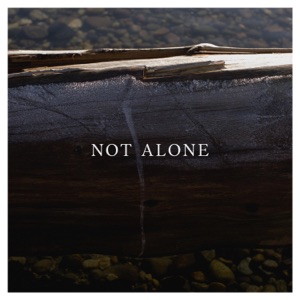 Not Alone - Single