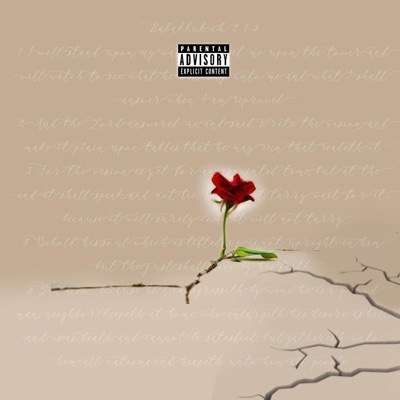 Rose Out the Concrete