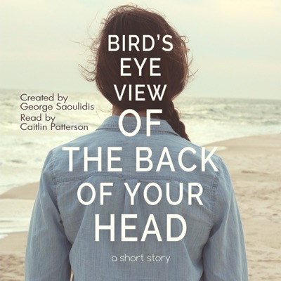 Bird’s-Eye View of the Back of Your Head: God Complex Universe (Unabridged)