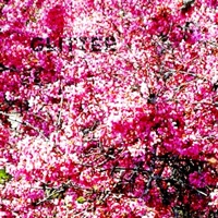 Glitter (feat. Mayten) - Single - Ohsolow