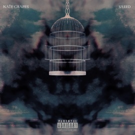 Flightless Wings (feat. Saeed) Nate Grapes