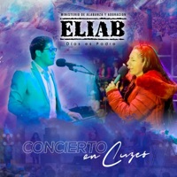 Ministerio Eliab Oficial - De Rodillas Vengo a Ti (En vivo)
