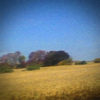 Sun Kil Moon - I Can't Live Without My Mother's Love artwork