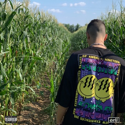 Non Imparo Mai - Single