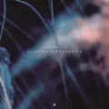 Starfish