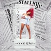 MEGAN THEE STALLION - Circles!