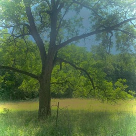 1Night (feat. Rouri404) Sevendsr