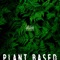 Plant Based - STRBABY lyrics