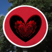 The Sign - Single - Mr Purple