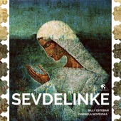 Sevdelinke (Extended Version) artwork