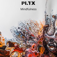 Mindfulness - Single - PLTX