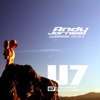 Learning to Fly - Single - Andy Jornee